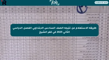 طريقة الاستعلام عن نتيجة الصف السادس الابتدائي الفصل الدراسي الثاني 2025 في كفر الشيخ
